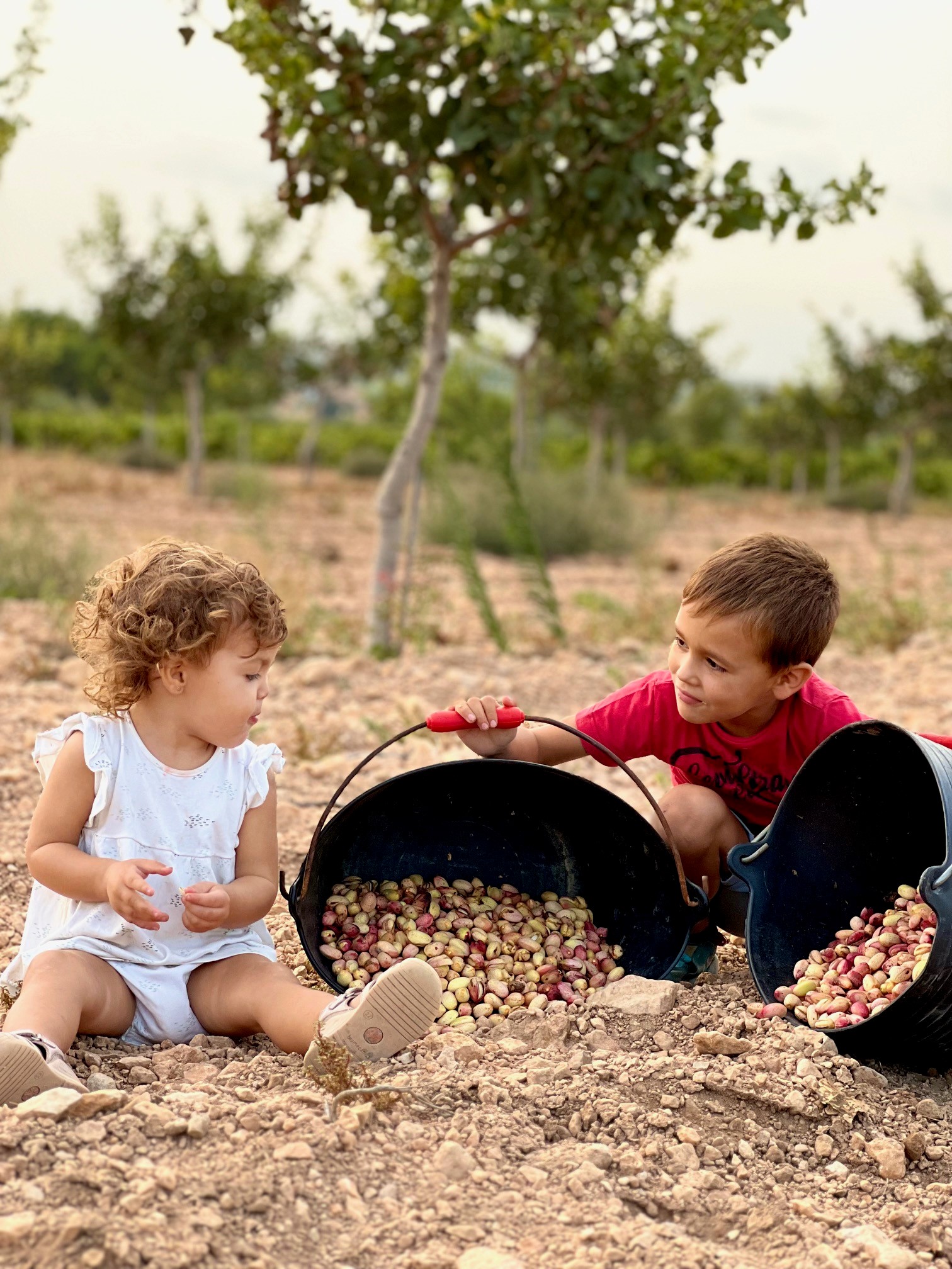 Dos niños de la familia ayudando durante la cosecha